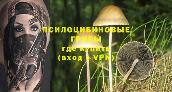 ALPHA PVP Медногорск