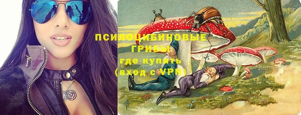 гидра Медвежьегорск