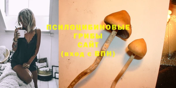 ALPHA PVP Медногорск