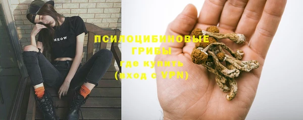 гидра Медвежьегорск