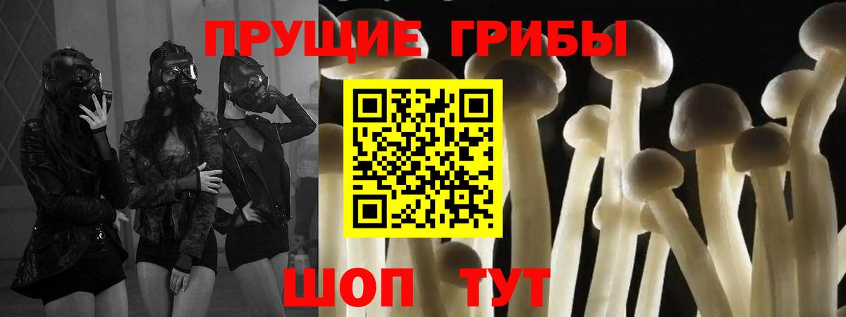 Псилоцибиновые грибы мухоморы Красноярск
